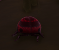 An in-game look at Garden Ladybug when found in the wild.