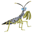 The icon of Spotted Mantis in the in-game inventory.