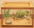 An in-game look at Garden Snail.