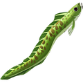 The icon of Cactus Moray in the in-game inventory.