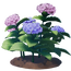 Mixed Hydrangea Flower.png