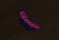 Ein Bild eines noch nicht gefangenen Scintillating Centipede im Spiel.
