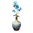 Dragontide Orchid Planter.png