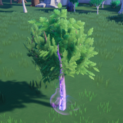 Young Flow Oak Tree Ingame.png