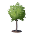 Young Oak Tree.png