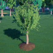 Young Oak Tree Ingame.png